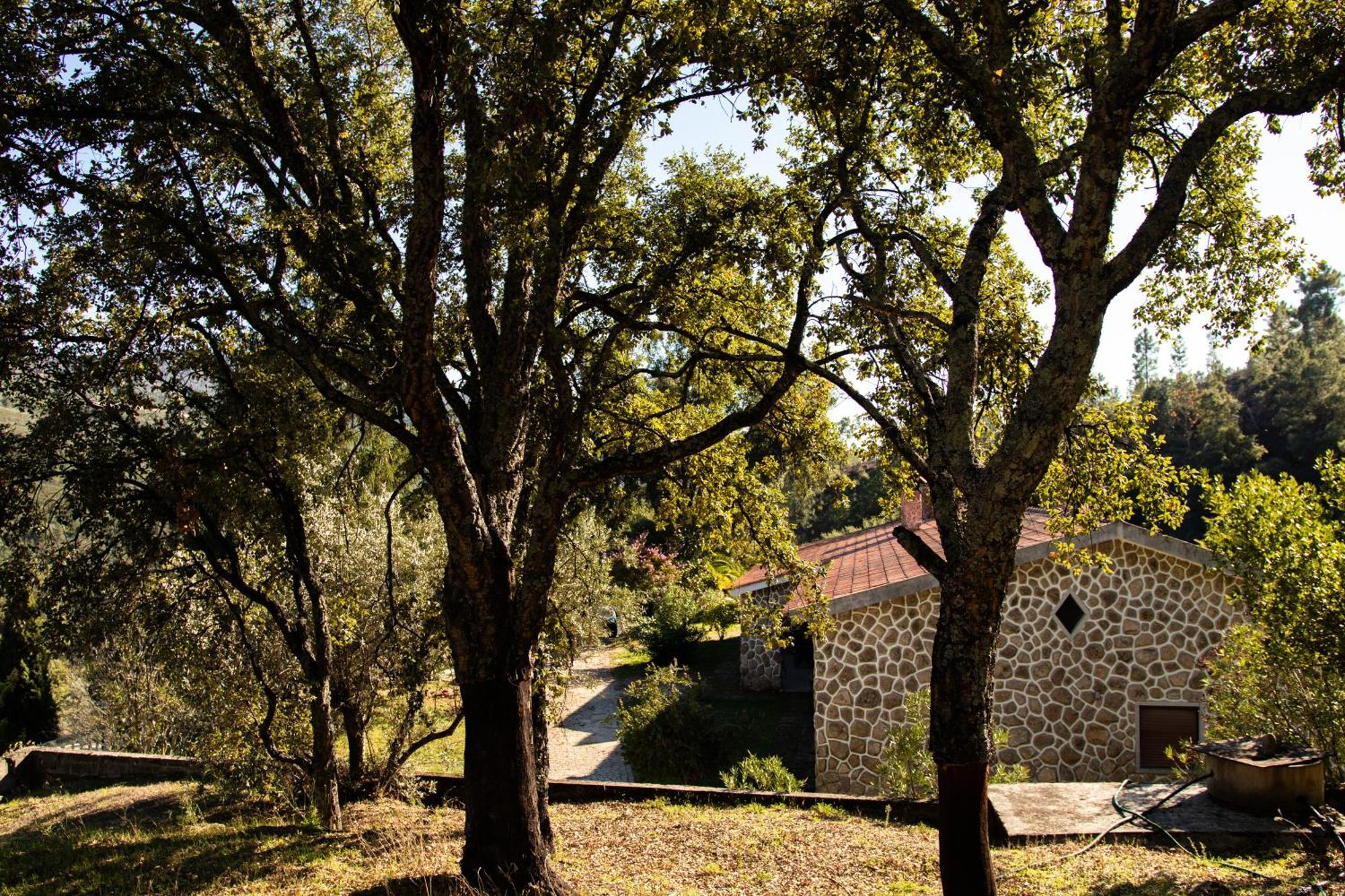 Bed and Breakfast Quinta Dos Sincais Guarda Exterior foto