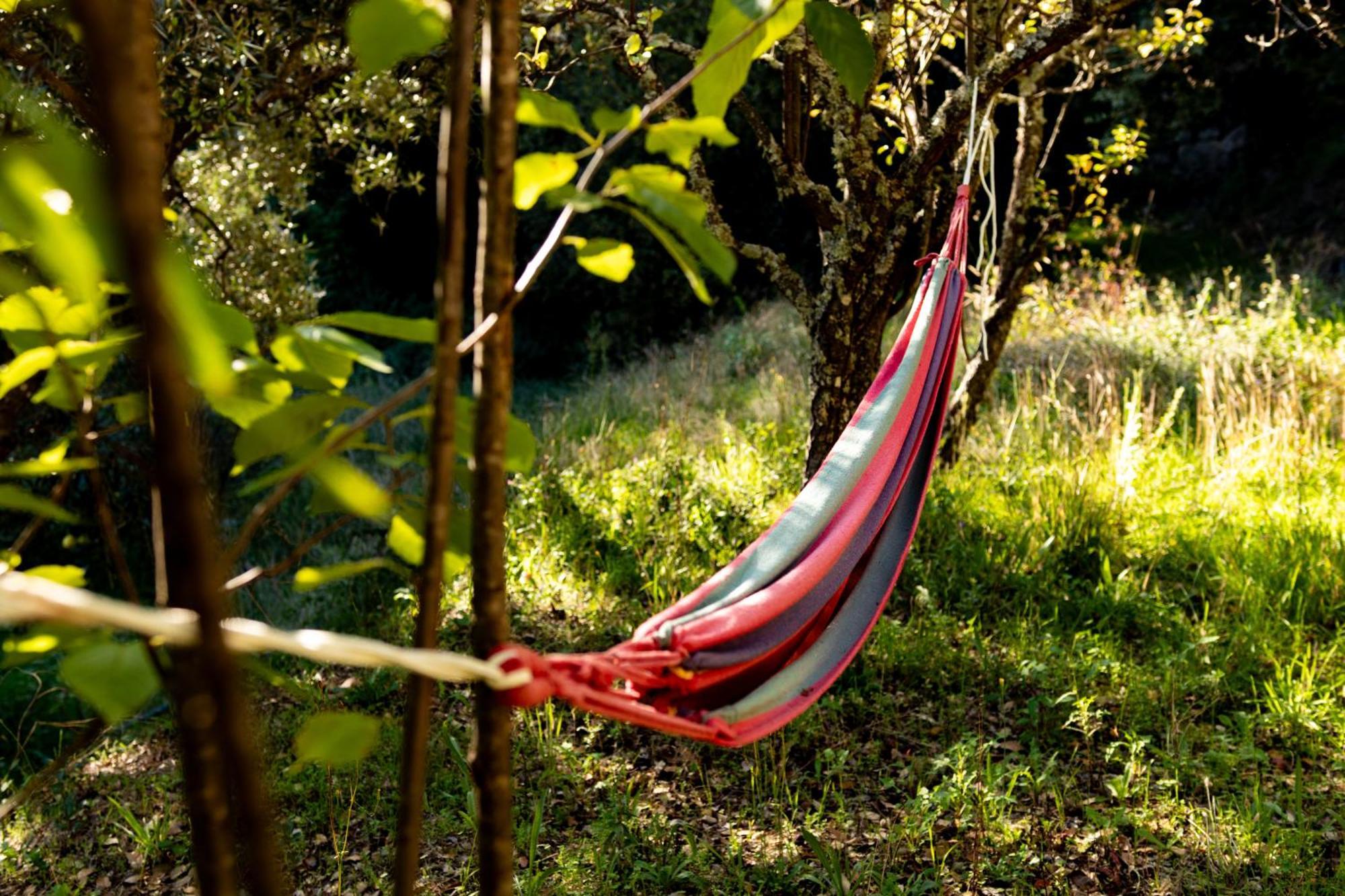 Bed and Breakfast Quinta Dos Sincais Guarda Exterior foto